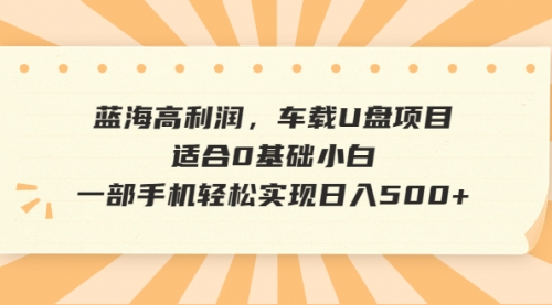 【副业项目6781期】蓝海高利润，车载U盘项目，适合0基础小白，一部手机轻松实现一天500+-沃创网