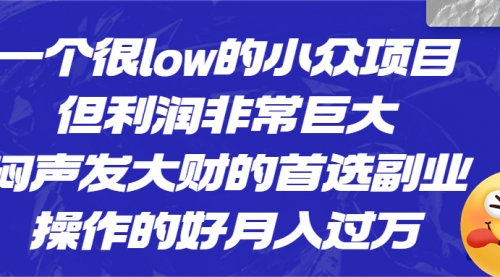【副业项目6782期】一个很low的小众项目，但利润非常巨大，闷声发大财的首选副业，月入过万-沃创网