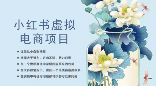 【副业项目6786期】小红书虚拟电商从0到1，让你从小白到精英（20节实操课程）-沃创网