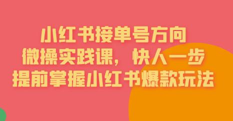 【副业项目6820期】接单号方向·小红书微操实践课，快人一步，提前掌握小红书爆款玩法-沃创网