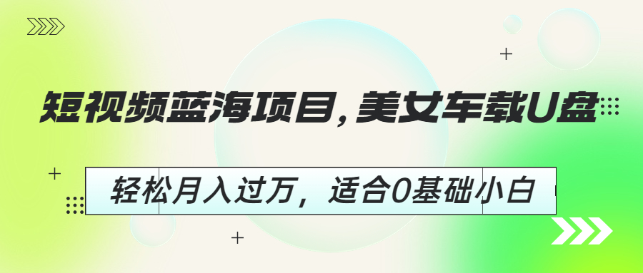 【副业项目6860期】短视频蓝海项目，美女车载U盘，轻松月入过万，适合0基础小白-沃创网