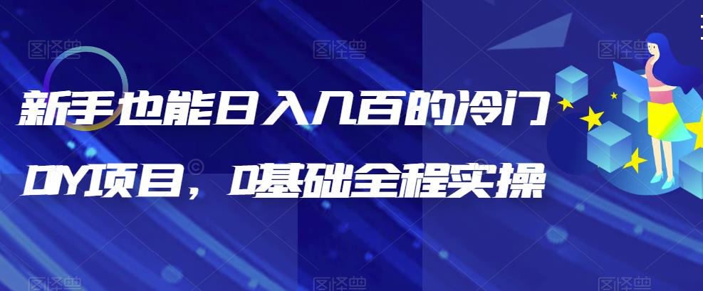 【副业项目6865期】新手也能日入几百的冷门DIY项目，0基础全程实操【揭秘】-沃创网