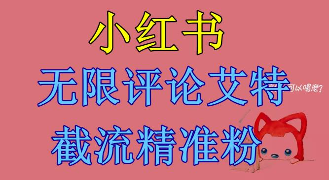 【副业项目6846期】小红书无限评论艾特截流精准粉（软件+教程）-沃创网