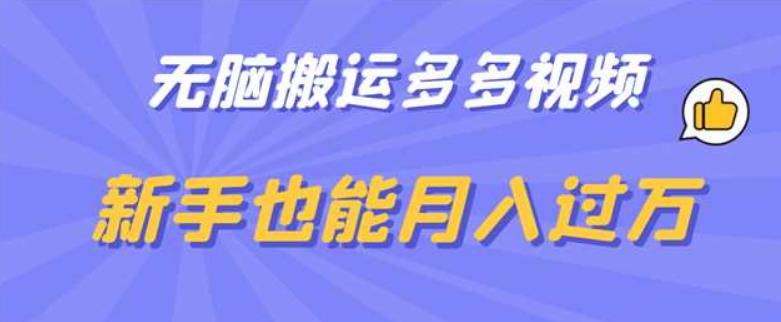 【副业项目6853期】无脑搬运多多视频，新手也能月入过万【揭秘】-沃创网