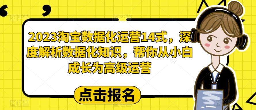 【副业项目6599期】2023淘宝数据化-运营 14式，深度解析数据化知识，帮你从小白成长为高级运营-沃创网