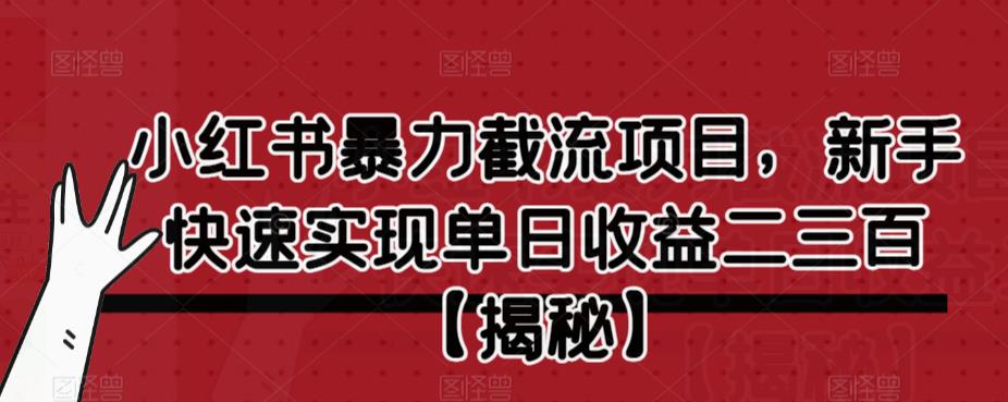 【副业项目6889期】小红书暴力截流项目，新手快速实现单日收益二三百【仅揭秘】-沃创网