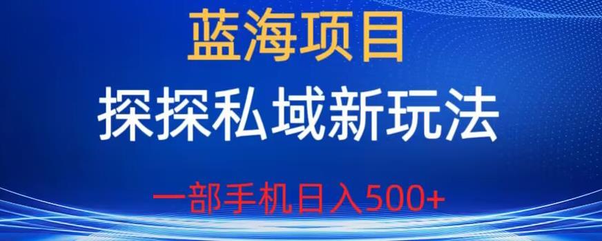 【副业项目6894期】蓝海项目，探探私域新玩法，一部手机日入500+很轻松【揭秘】-沃创网