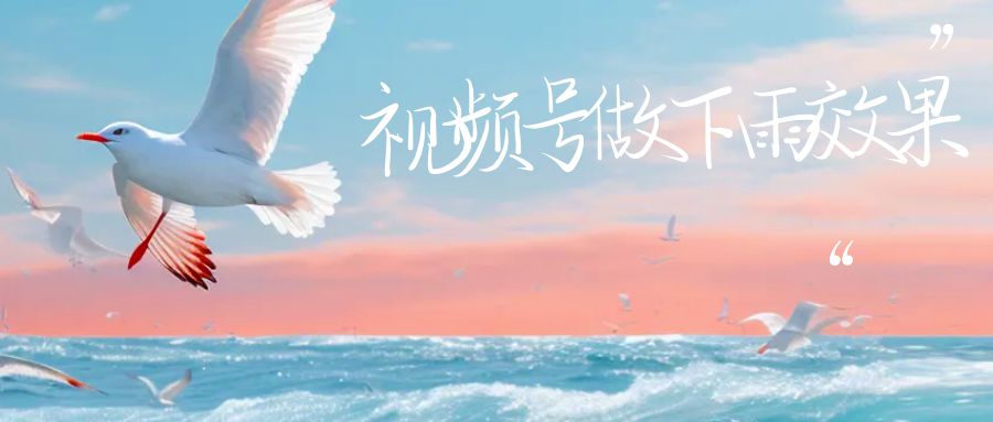 【副业项目6913期】视频号做下雨视频一个账号一周涨粉10W+年入100w-沃创网