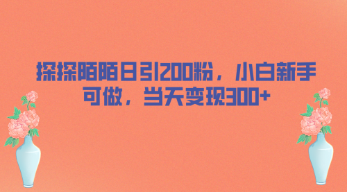 【副业项目7026期】探探陌陌日引200粉，小白新手可做，当天就能变现300+-沃创网