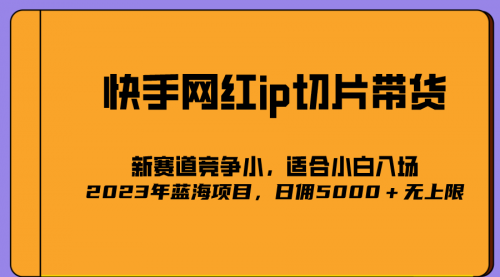 【副业项目7037期】2023爆火的快手网红IP切片，号称日佣5000＋的蓝海项目，二驴的独家授权-沃创网