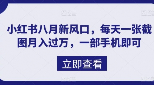【副业项目7078期】八月新风口，小红书虚拟项目一天收入1000+-沃创网