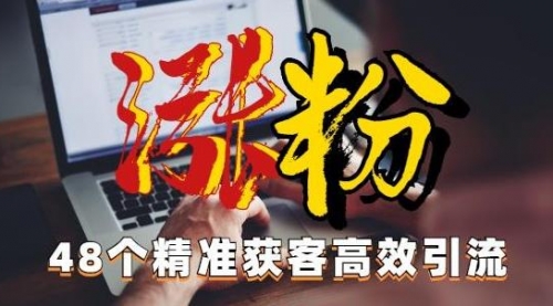 【副业项目7097期】独家分享48个引流绝技，再没粉丝只能怪自己了！-沃创网