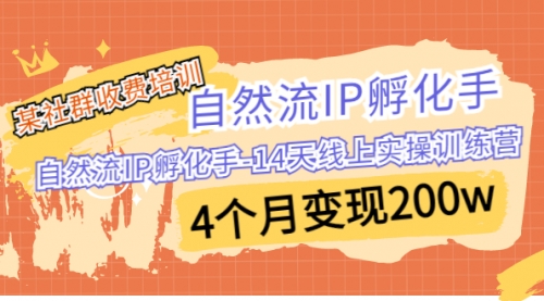 【副业项目7109期】自然流IP孵化手-14天线上实操训练营 4个月变现200w-沃创网