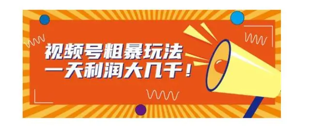 【副业项目7125期】视频号粗暴玩法，一天利润大几千！-沃创网