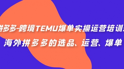 【副业项目7128期】拼多多-跨境TEMU爆单实操运营培训班，海外拼多多的选品、运营、爆单-沃创网
