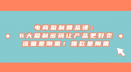 【副业项目7132期】电商盈利精品课：6大盈利，密码让产品更好卖，流量是刚需-沃创网