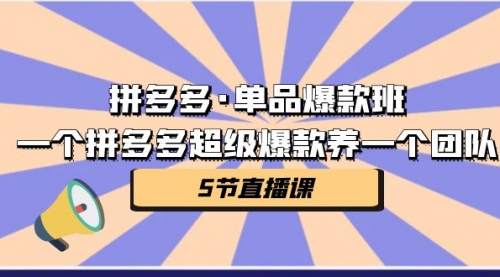 【副业项目第7171期】拼多多·单品爆款班，一个拼多多超级爆款养一个团队-沃创网