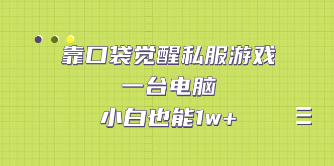 【副业项目7248期】靠口袋觉醒私服游戏，一台电脑，小白也能1w+（教程+工具+资料）-沃创网