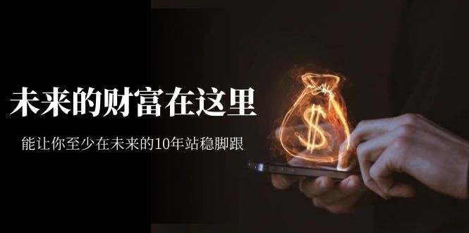 【副业项目7298期】某收费文章《未来的财富在这里》能让你至少在未来的10年站稳脚跟-沃创网
