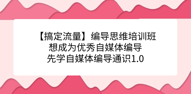 【副业项目7456期】编导思维培训班，想成为优秀自媒体编导先学自媒体编导通识1.0-沃创网