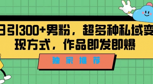 【副业项目7191期】独家推荐！日引300+男粉，超多种私域变现方式-沃创网