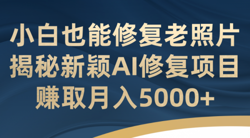 【副业项目7218期】小白也能修复老照片！揭秘新颖AI修复项目-沃创网