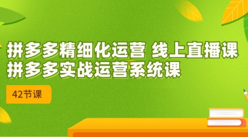 【副业项目7292期】2023年新课-拼多多精细化运营-沃创网