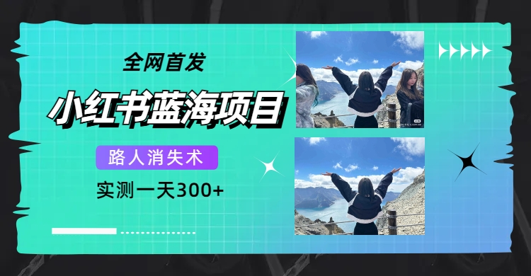 【副业项目7750期】全网首发，小红书蓝海项目，路人消失术，实测一天300+（教程+工具）-沃创网