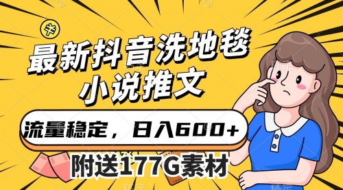 【副业项目7638期】最新抖音洗地毯小说推文，流量稳定，一天收入600（附177G素材）-沃创网