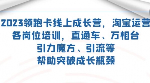 【副业项目7677期】2023领跑·卡 线上成长营 淘宝运营各岗位培训 直通车 万相台 引力魔方 引流-沃创网