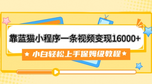 【副业项目7909期】靠蓝猫小程序一条视频变现16000+小白轻松上手保姆级教程（附166G资料素材）-沃创网