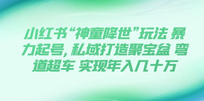 【副业项目7983期】小红书“神童降世”玩法 暴力起号,私域打造聚宝盆-沃创网
