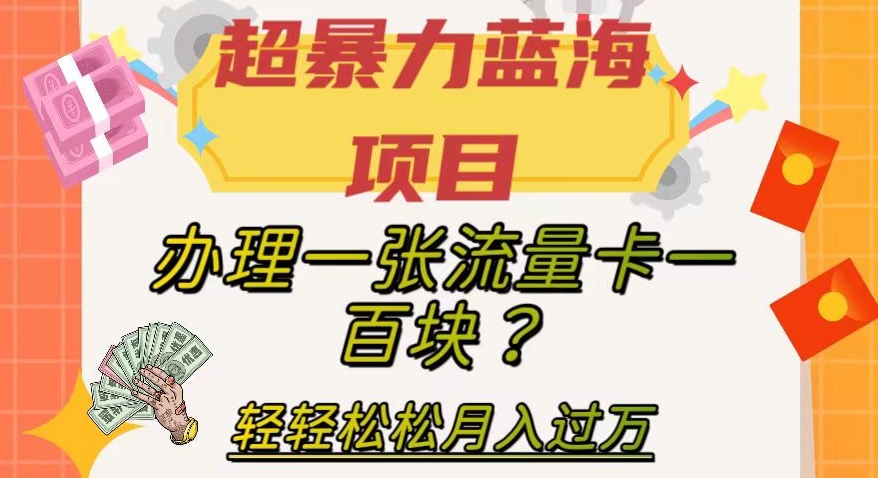 【副业项目8024期】超暴力蓝海项目，办理一张流量卡一百块？轻轻松松月入过万，保姆级教程【揭秘】-沃创网