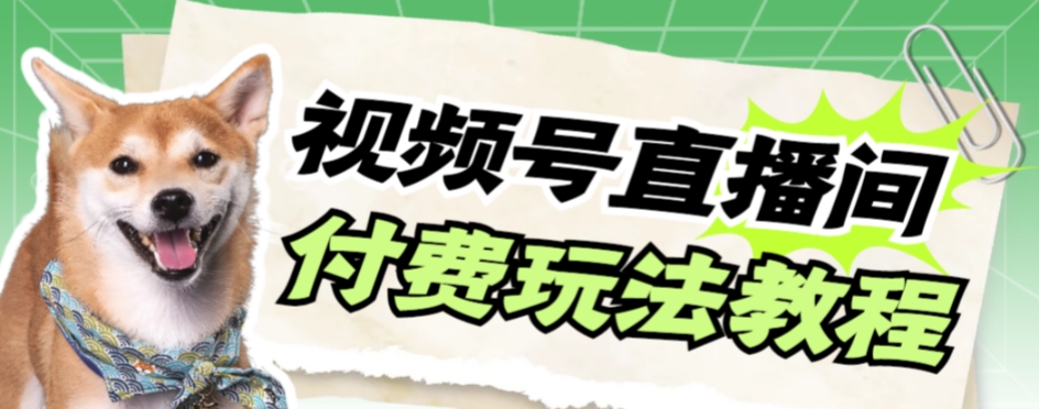 【副业项目7973期】视频号美女付费无人直播，轻松日入500+-沃创网