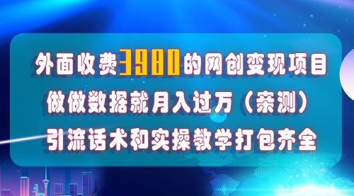 【副业项目8036期】在短视频等全媒体平台做数据流量优化，实测一月1W+，在外至少收费4000+-沃创网