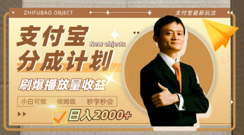 【副业项目8194期】日入2000+的支付宝分成计划，刷爆播放量收益-沃创网