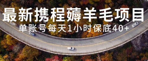 【副业项目8232期】最新携程薅羊毛项目，单账号每天1小时保底收益40+，可矩阵操作-沃创网