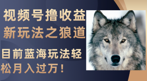 【副业项目8271期】视频号撸收益新玩法之狼道，目前蓝海玩法轻松月入过万！-沃创网