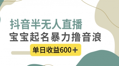 【副业项目8385期】抖音半无人直播，宝宝起名，暴力撸音浪，单日收益600+-沃创网