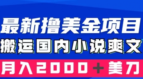 【副业项目8408期】国内小说爽文搬运到国外，复制粘贴一月2000+美金-沃创网