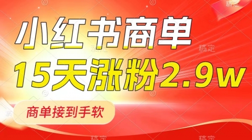 【副业项目8480期】小红书商单最新玩法，新号15天2.9w粉，接单到手软-沃创网
