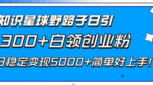 【副业项目8492期】知识星球野路子日引300+白领创业粉-沃创网