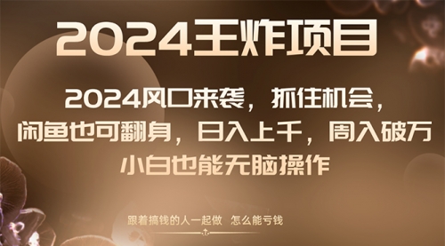 【副业项目8548期】2024闲鱼翻身项目，小白也可做-沃创网