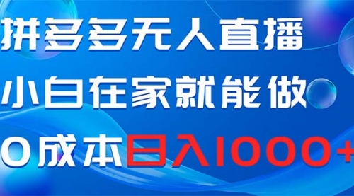 【副业项目8603期】拼多多无人直播，小白在家就能做，0成本日入1000+-沃创网