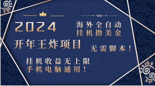 【副业项目8620期】2024海外撸美金项目！手机电脑均可-沃创网