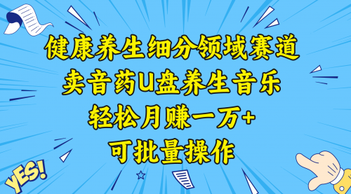 【副业项目8638期】健康养生细分领域赛道，卖音药U盘养生音乐，轻松月赚一万+，可批量操作-沃创网