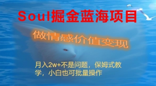 【副业8669期】Soul掘金蓝海项目细分赛道，做情感价值变现，月入2w+不是问题-沃创网