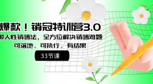 【副业8705期】销冠特训营3.0之顺人性销售法，全方位解决销售难题、可落地-沃创网