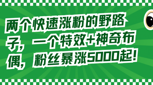 【副业8723期】两个快速涨粉的野路子，一个特效+神奇布偶，粉丝暴涨5000起！-沃创网