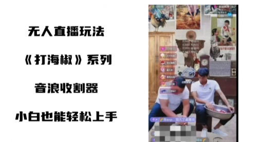 【副业8766期】打海椒无人直播整蛊项目，小白轻松上手撸音浪收割器（教程+工具+素材）-沃创网